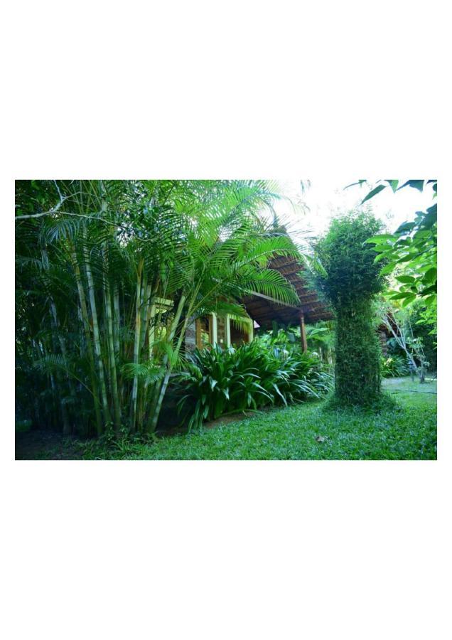 The Horse & Chariot Hotel Madikeri Exterior photo